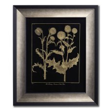 Nodding Thistle Framed Picture Nodding Thistle Framed Picture