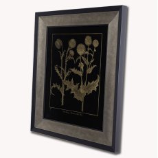 Nodding Thistle Framed Picture