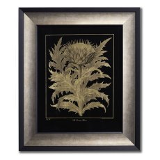 Cardoon Framed Picture Cardoon Framed Picture