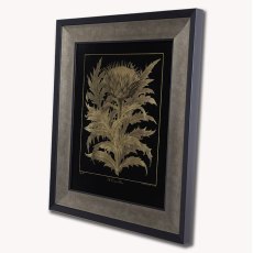 Cardoon Framed Picture