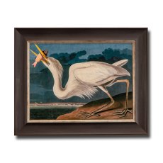 Great White Heron Framed Picture Great White Heron Framed Picture