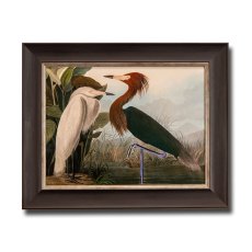 Purple Heron Framed Picture Purple Heron Framed Picture