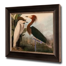 Purple Heron Framed Picture