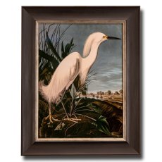 Snowy Heron Framed Picture Snowy Heron Framed Picture
