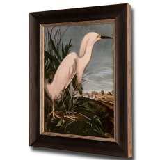 Snowy Heron Framed Picture