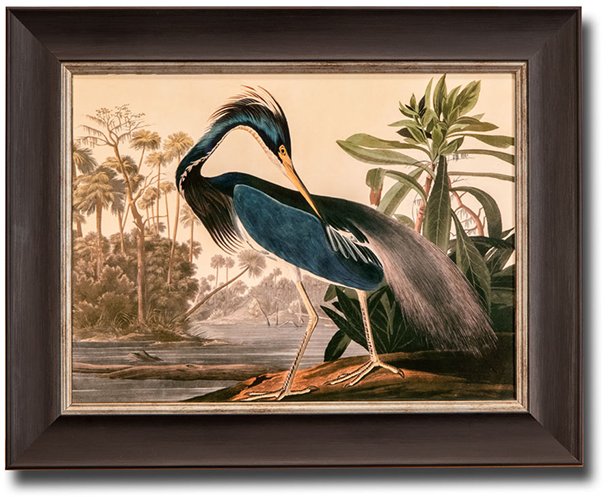 LOUISIANA HERON, JAMES