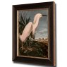 SNOWY HERON, JAMES